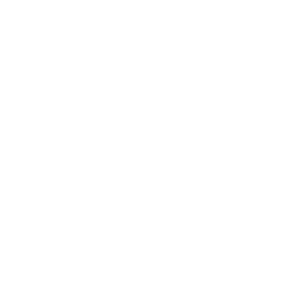 GitHub Logo